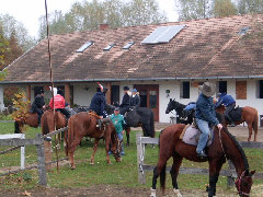 lovarda002003.jpg