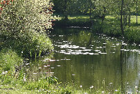 lovarda003009.jpg