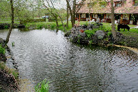 lovarda003011.jpg