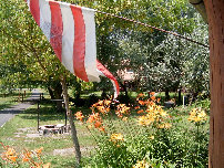 lovarda003013.jpg